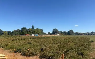 La Granja de Aranjuez: El proyecto de economía circular que conecta el campo con la mesa madrileña