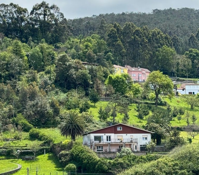 CANTABRIAFOODEXPERIENCE – UNA JORNADA DONDE LOS SABORES Y AROMAS DEL LITORAL SERÁN LOS GRANDES PROTAGONISTAS