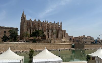 Cenas con Estrella en Palma