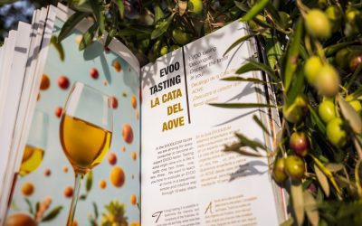 La Guía EVOOLEUM selecciona los AOVEs españoles más sabrosos y asequibles para comenzar