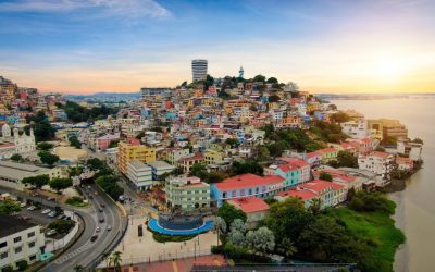 Descubre Guayaquil con el paladar