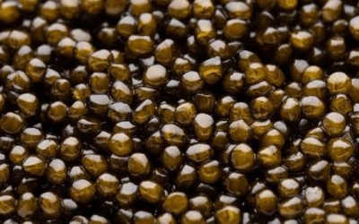 ¿Caviar Ossetra o Kaluga? Decidirlo es tanto como escoger entre el mar o el río | CAVIAR BOLSHOI GOURMET